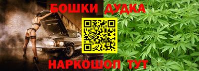 гашик Дубна