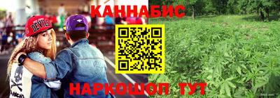 сатива Донской